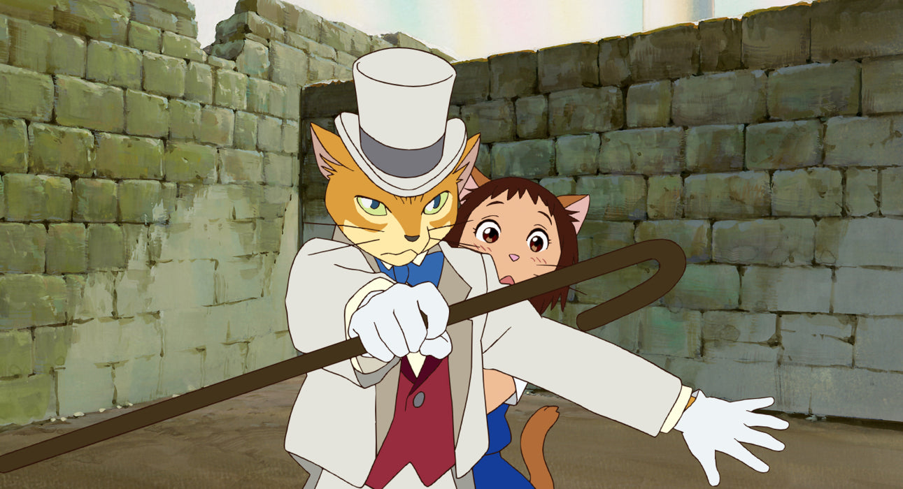cat_hires_2