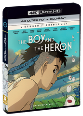 The Boy And The Heron